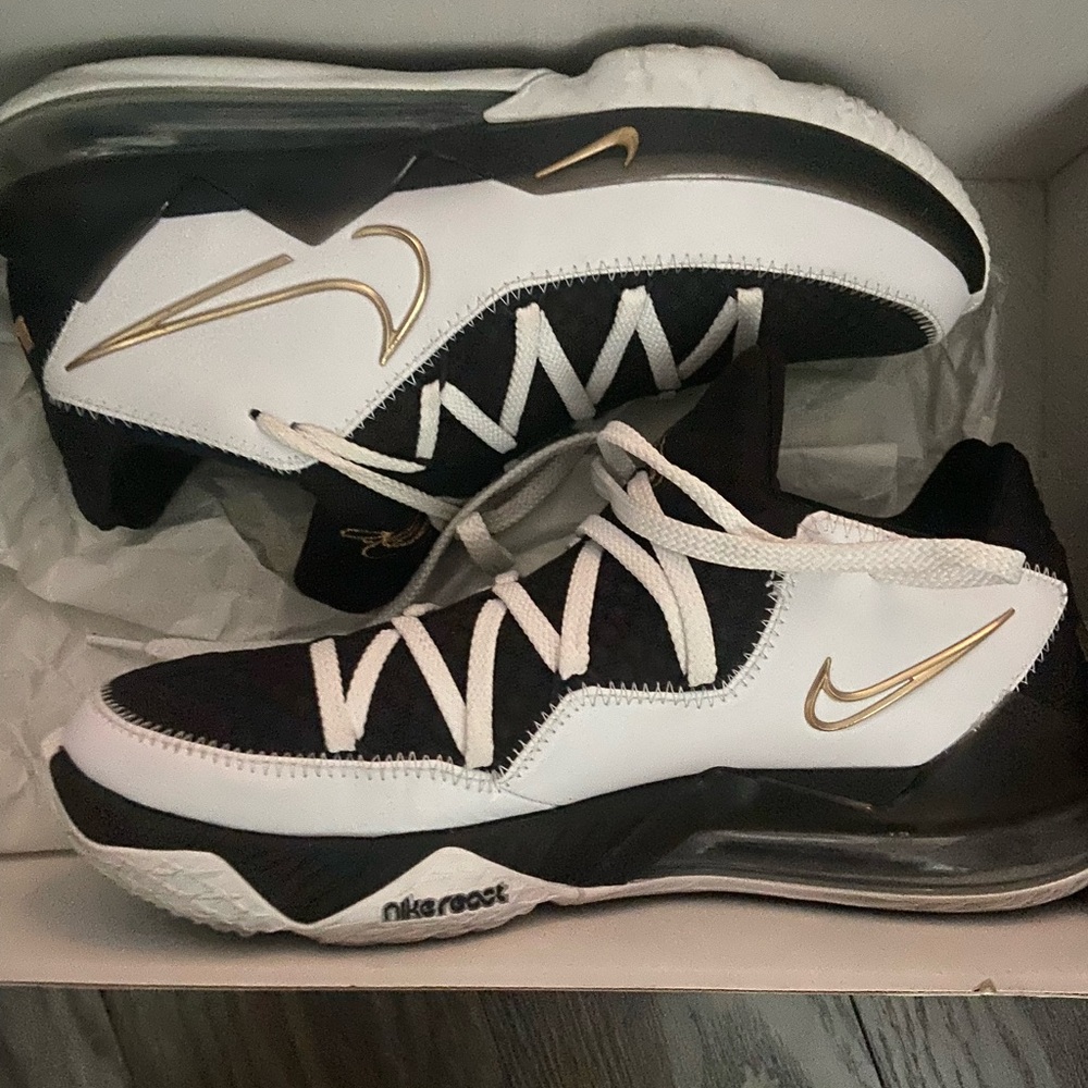 Lebron xvii low